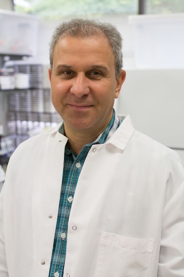 Sergey Shulenin, PhD