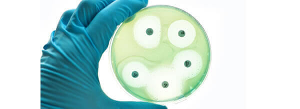 In Vitro Antiviral Testing