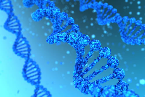 Immunoassays