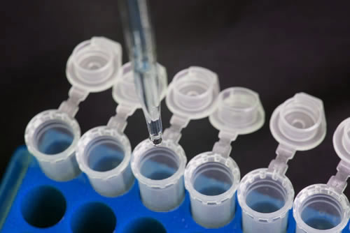 PCR ASSAYS
