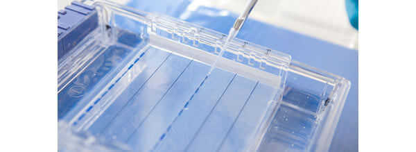Assay & Protein Services