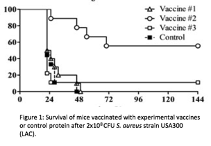 Staph Aureus