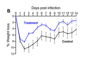 Figure 1. Mouse skin infection model. Area of lesion (A) and weight loss (B) measured daily for 14 days post infection with 1x107 CFU of S. aureus USA300. Model shows animals that received either treatment or placebo control intraperitoneally 4 hours prior to infection. 