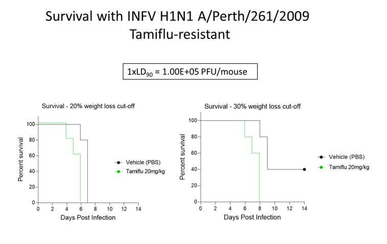 Fig. 1 Survival after challenge with INFV H1N1 A/Pert/261/2009 (Tamiflu-resistant strain). Inoculum 1xLD90=1.0E+05 PFU/mouse