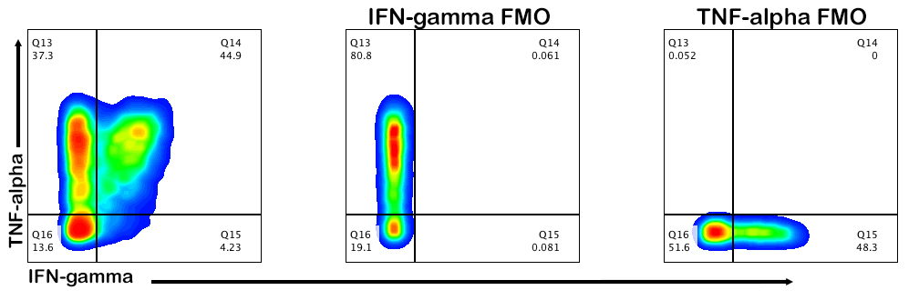 FMO controls_INF Ga ,,a and TNF alpha